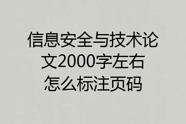 信息安全与技术论文2000字左右怎么标注页码