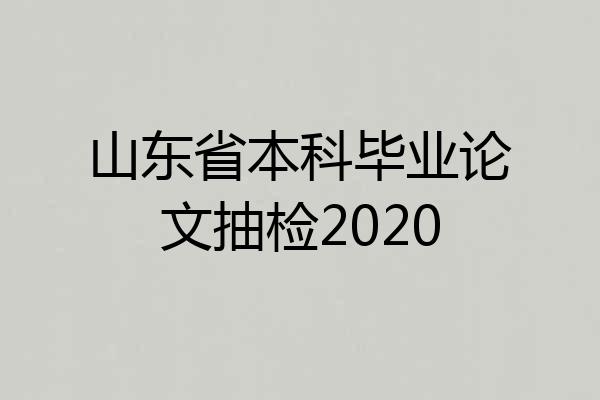 山东省本科毕业论文抽检2020