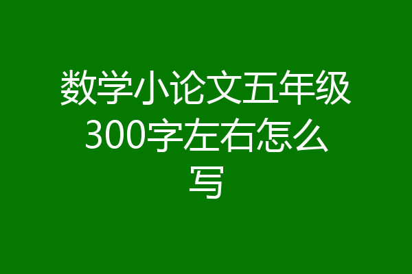 数学小论文五年级300字左右怎么写