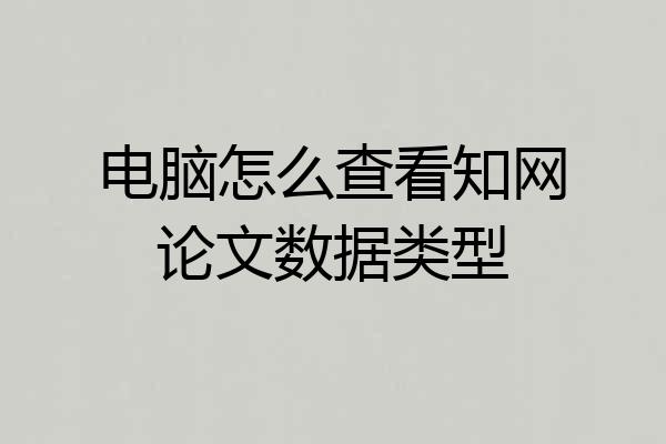 电脑怎么查看知网论文数据类型