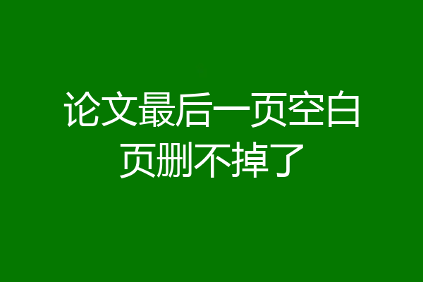 论文最后一页空白页删不掉了