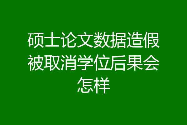 硕士论文数据造假被取消学位后果会怎样