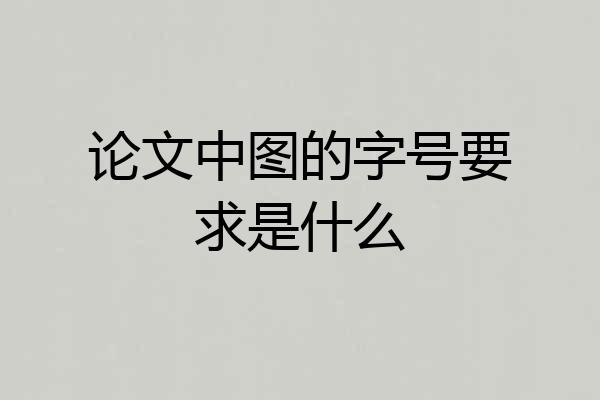 论文中图的字号要求是什么