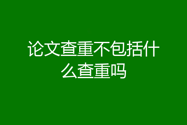 论文查重不包括什么查重吗