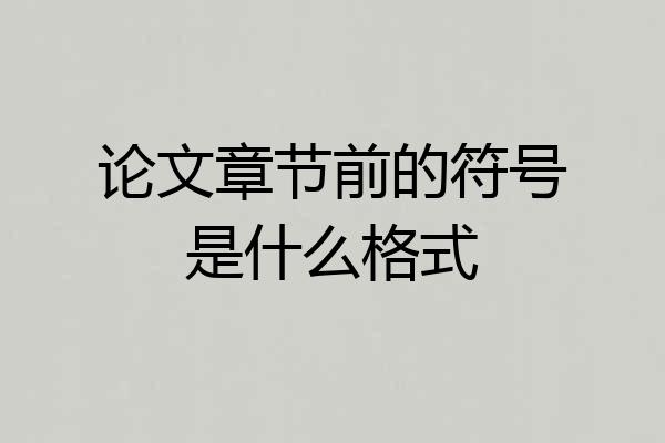 论文章节前的符号是什么格式