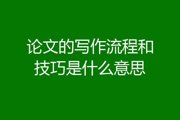 论文的写作流程和技巧是什么意思