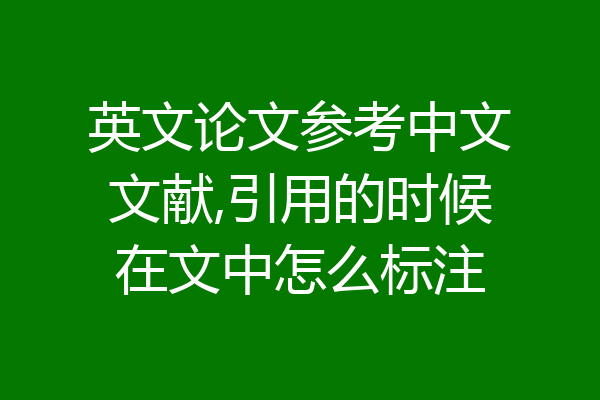 英文论文参考中文文献,引用的时候在文中怎么标注