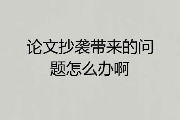 论文抄袭带来的问题怎么办啊