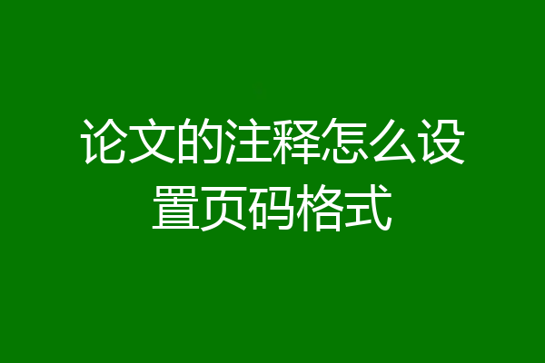 论文的注释怎么设置页码格式