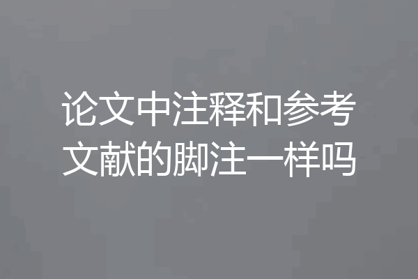 论文中注释和参考文献的脚注一样吗