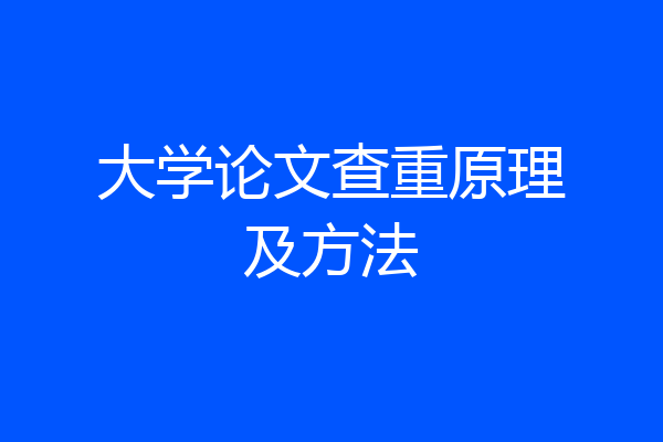 大学论文查重原理及方法