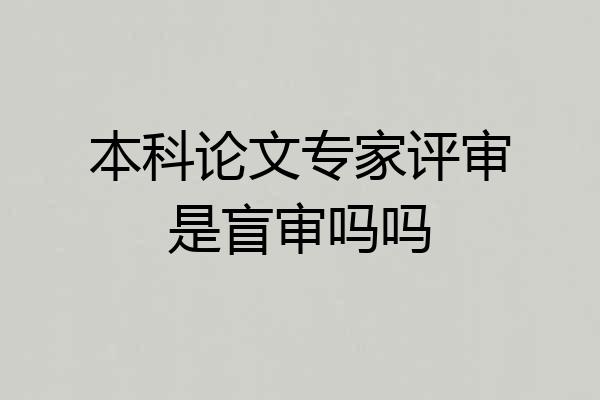 本科论文专家评审是盲审吗吗