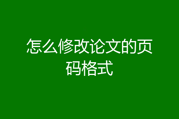 怎么修改论文的页码格式