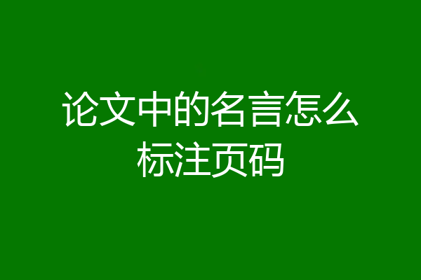 论文中的名言怎么标注页码