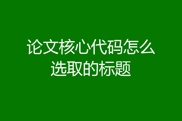 论文核心代码怎么选取的标题