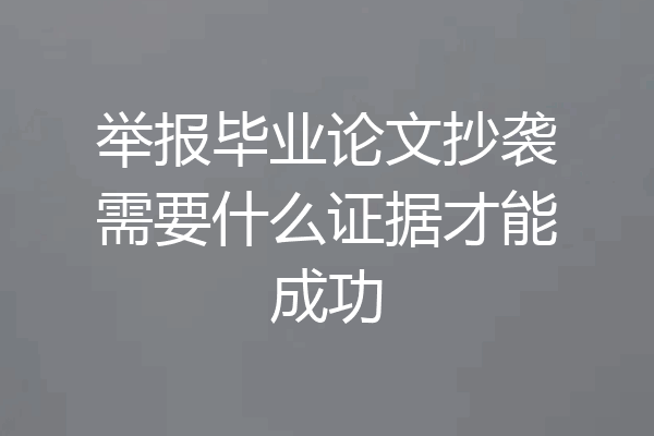 举报毕业论文抄袭需要什么证据才能成功