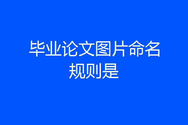 毕业论文图片命名规则是