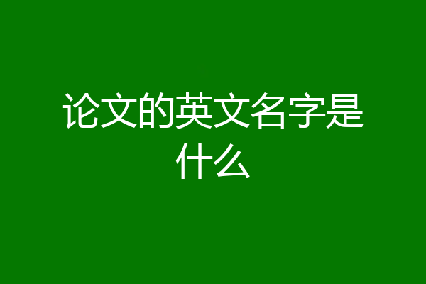 论文的英文名字是什么