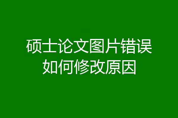 硕士论文图片错误如何修改原因
