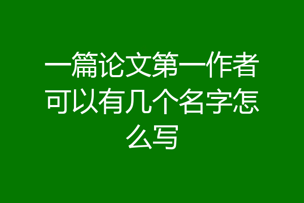 一篇论文第一作者可以有几个名字怎么写