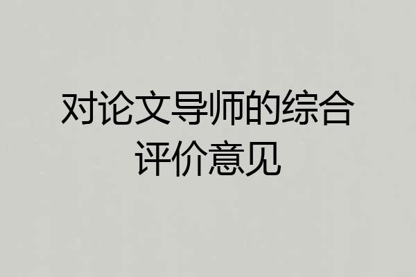 对论文导师的综合评价意见