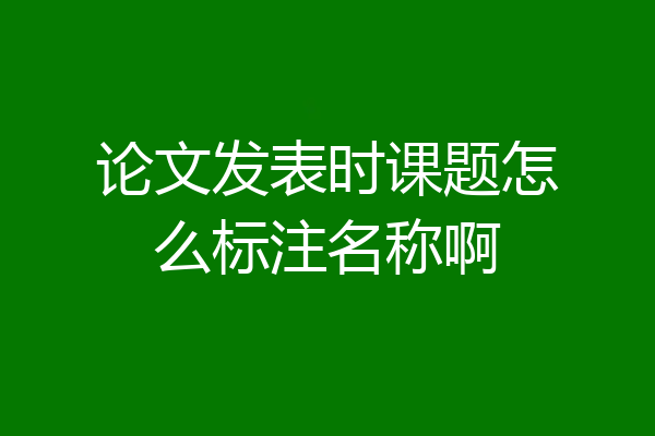 论文发表时课题怎么标注名称啊