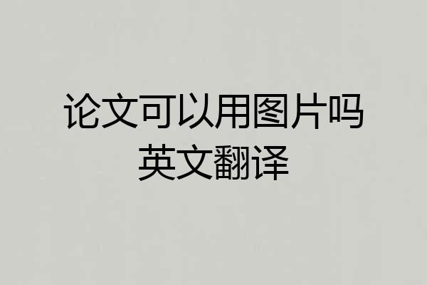 论文可以用图片吗英文翻译