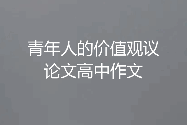 青年人的价值观议论文高中作文