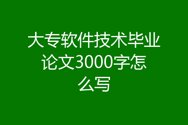 大专软件技术毕业论文3000字怎么写