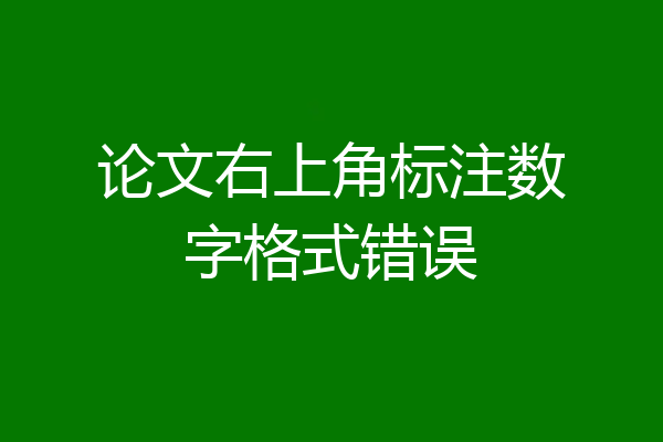 论文右上角标注数字格式错误