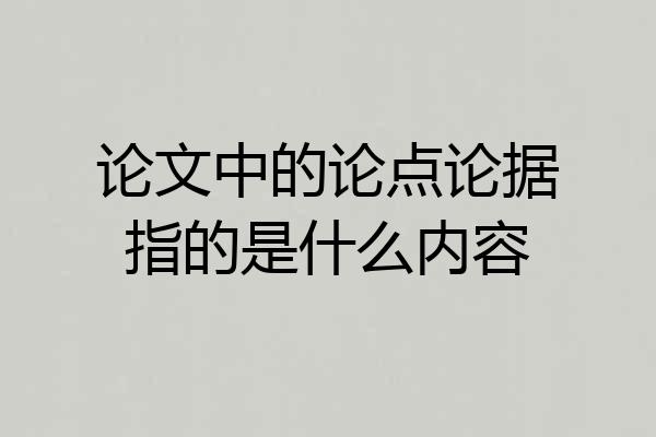 论文中的论点论据指的是什么内容