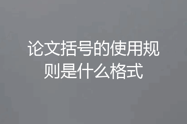 论文括号的使用规则是什么格式