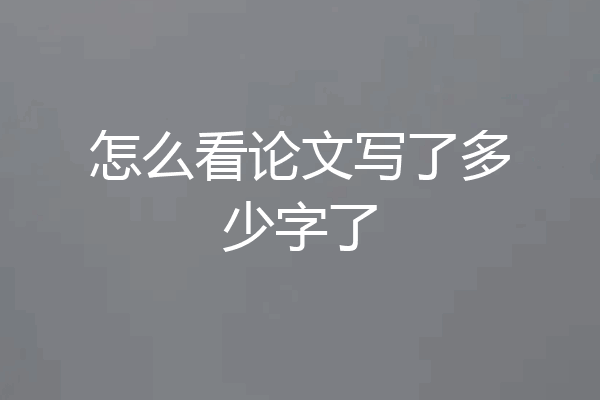 怎么看论文写了多少字了