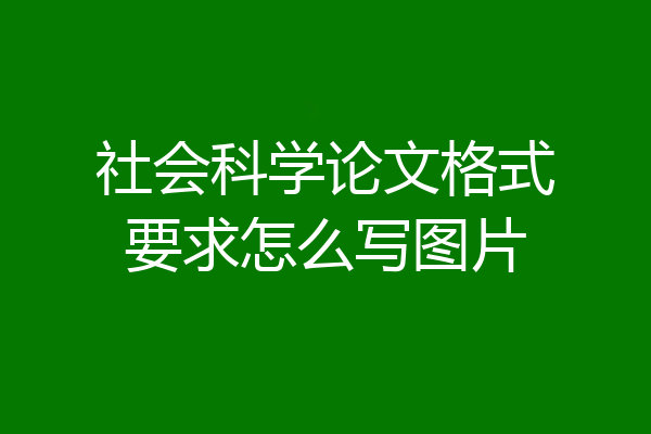 社会科学论文格式要求怎么写图片