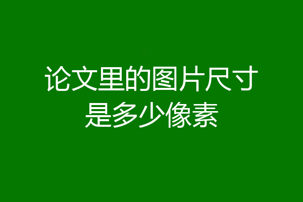 论文里的图片尺寸是多少像素