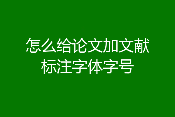 怎么给论文加文献标注字体字号