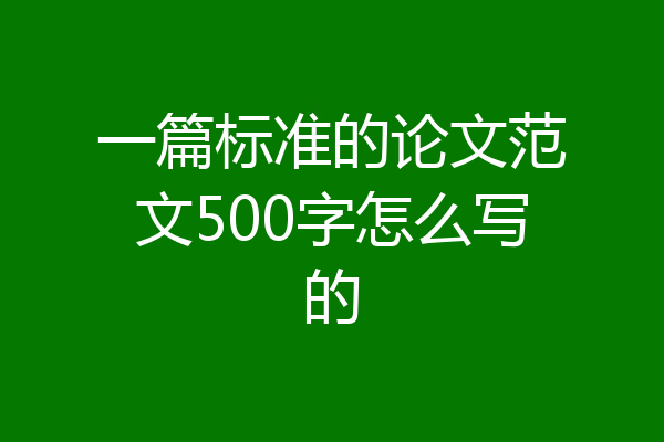 一篇标准的论文范文500字怎么写的