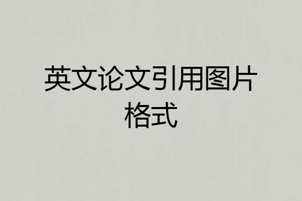 英文论文引用图片格式