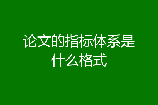 论文的指标体系是什么格式