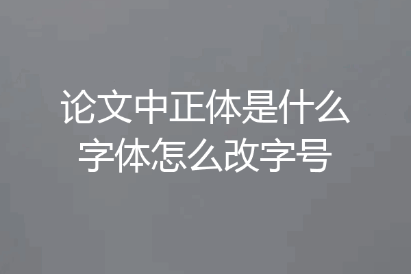 论文中正体是什么字体怎么改字号
