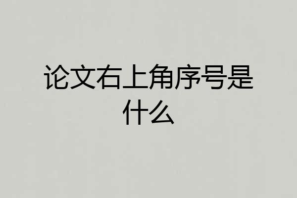 论文右上角序号是什么