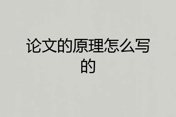 论文的原理怎么写的