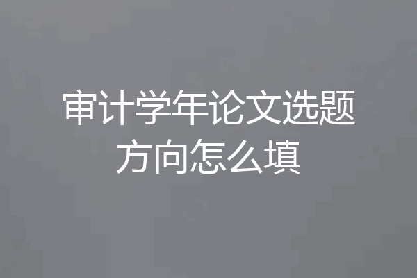 审计学年论文选题方向怎么填