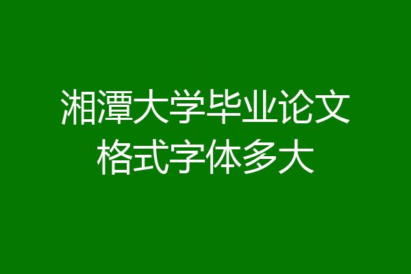 湘潭大学毕业论文格式字体多大