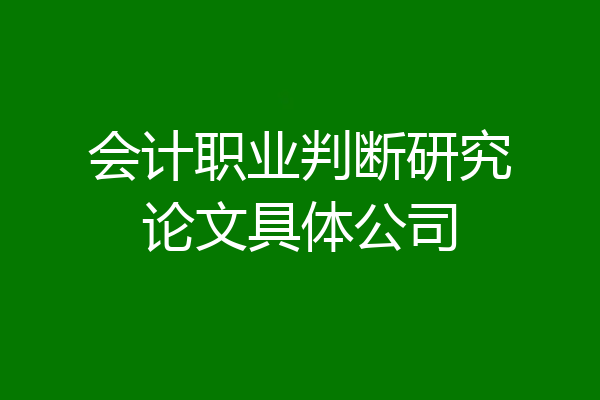 会计职业判断研究论文具体公司