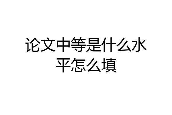 论文中等是什么水平怎么填