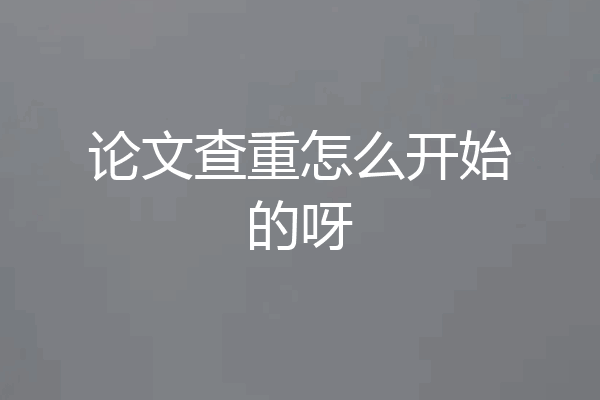 论文查重怎么开始的呀