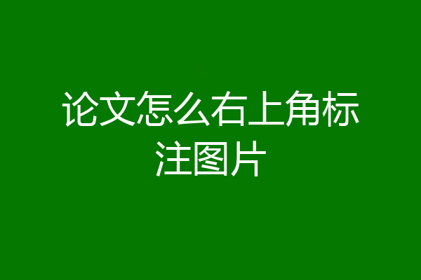 论文怎么右上角标注图片