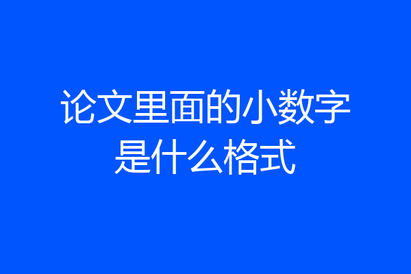 论文里面的小数字是什么格式