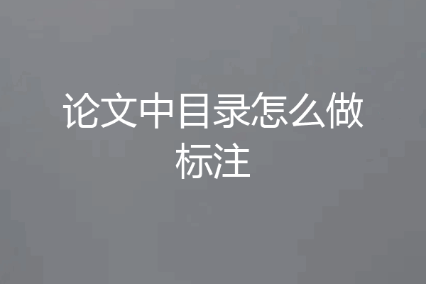 论文中目录怎么做标注
